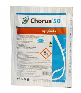CHORUS 50