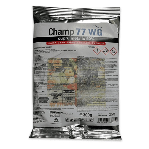 CHAMP 77 WG