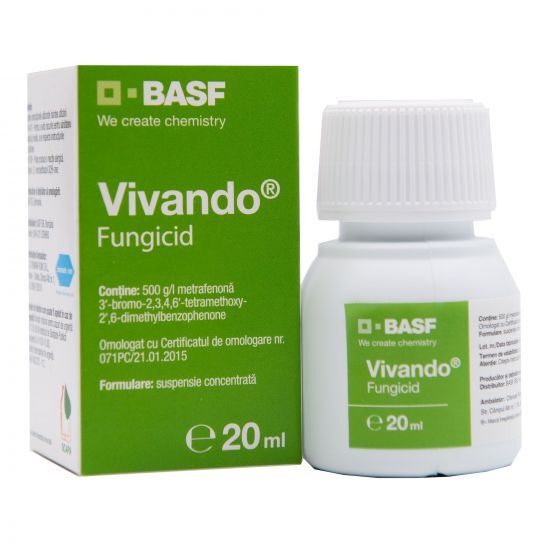 VIVANDO